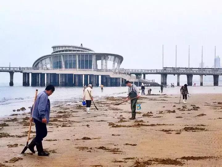 烟台人事任免与自然美景之旅，邂逅宁静内心的旅行