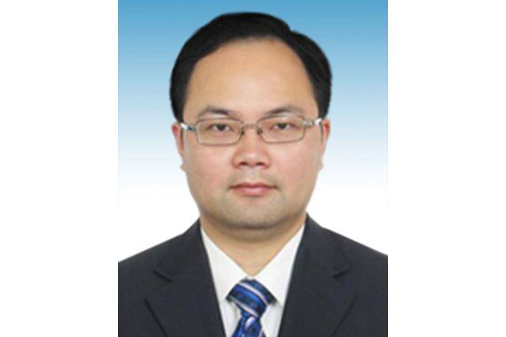 浙江干部公示最新消息揭秘，日常故事背后的进展与动态
