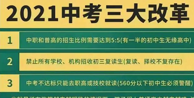 中考最新政策下的探索之旅