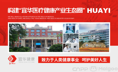 宜华健康最新动态，心灵之旅启程，探寻自然美景的魅力