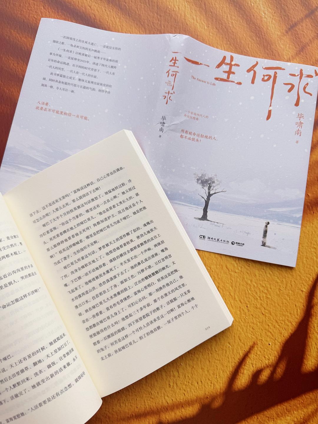 最新探讨一生何求小说内容解析