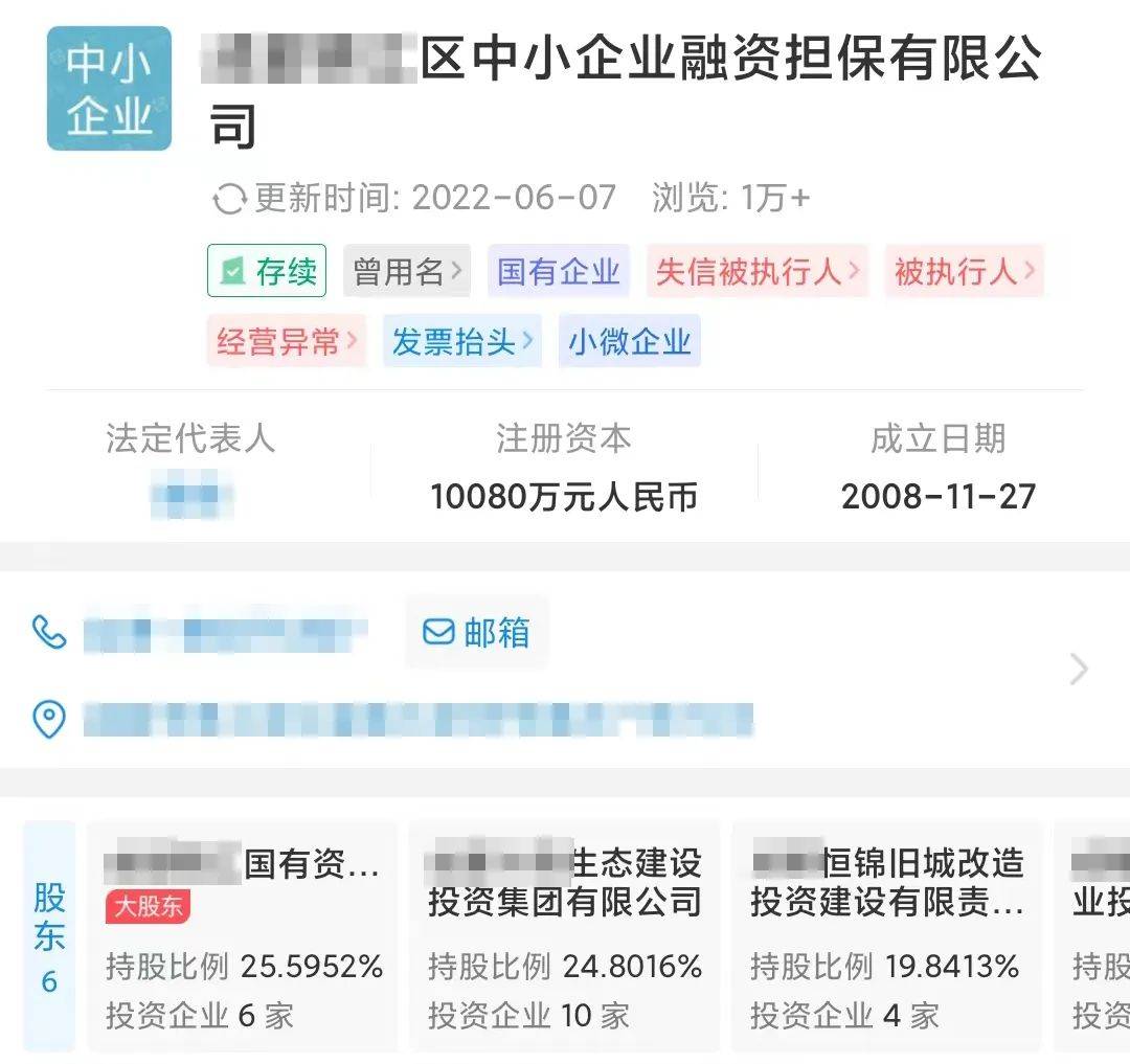 担保公司最新动态揭秘，小巷中的隐藏宝藏
