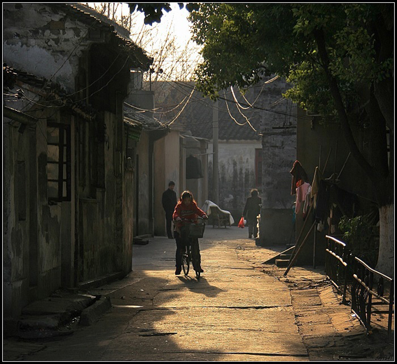 百分网最新版下载，小巷中的宝藏探索之旅