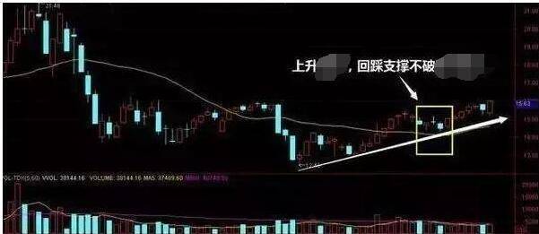 最新个股揭秘，小巷深处的独特小店，你错过了吗？