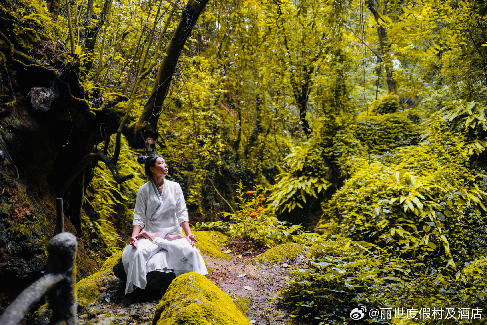 跟随Susu探索自然美景，寻找内心的平和宁静之旅