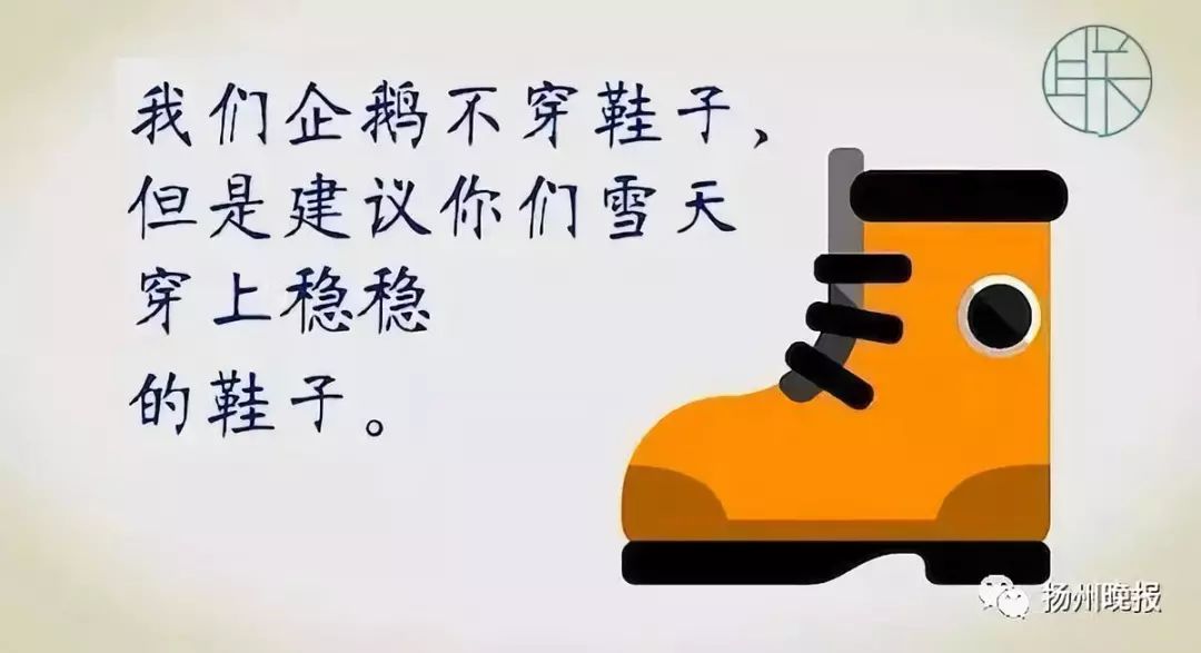 最新D曲风潮，学习变化，旋律中的自信与成就感
