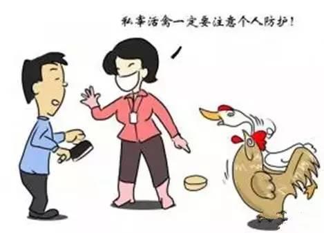 禽流感H7N9最新消息融入温馨日常故事，疫情动态与人文关怀的交织篇章