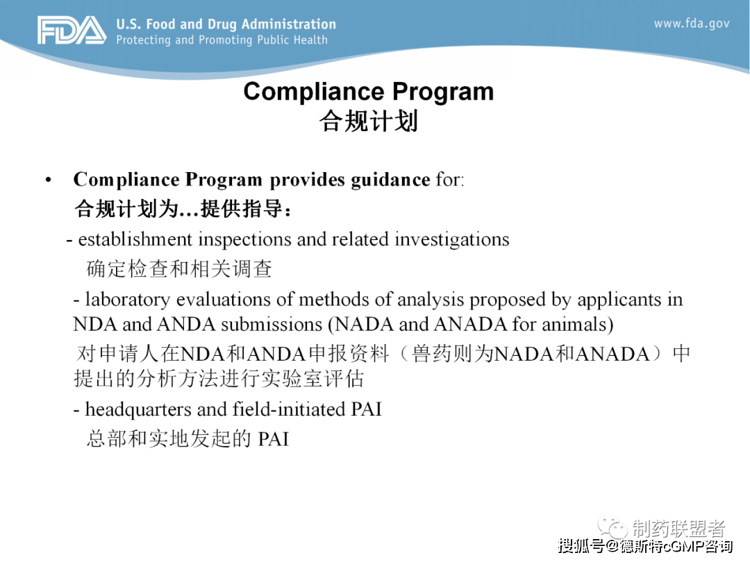 GMP最新动态，小明的日常奇遇与友情纽带