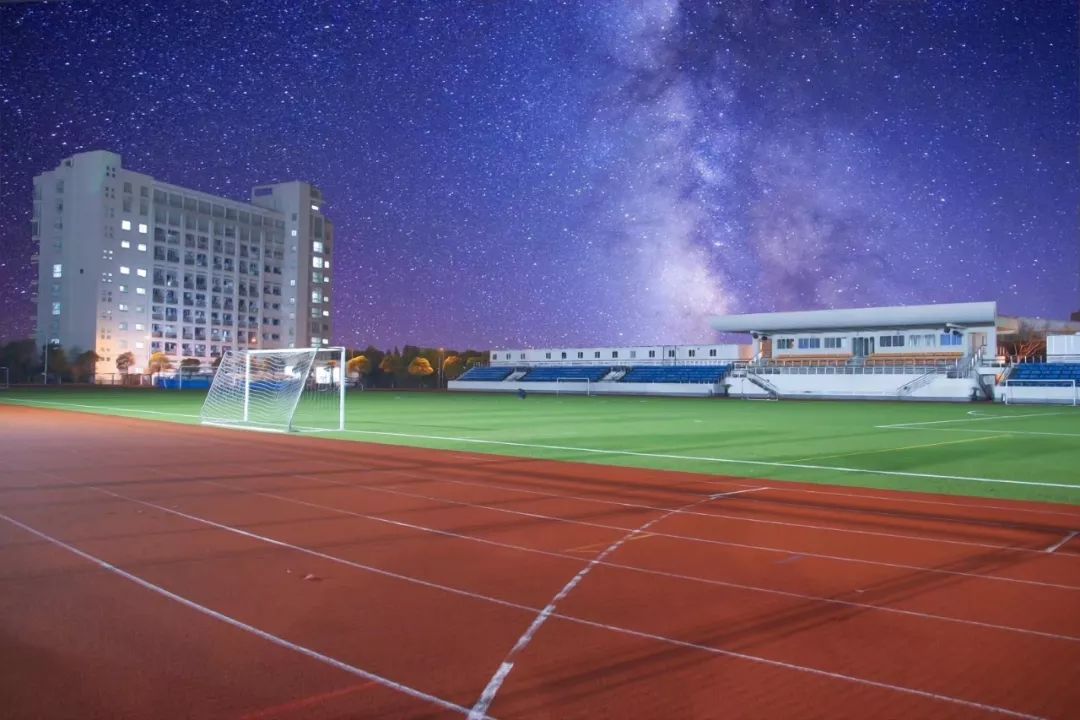 洪金宝最新动态，功夫巨星的新征程揭秘