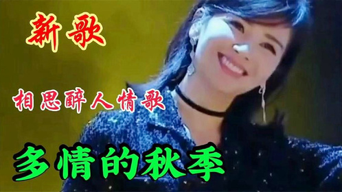 2017情歌精选，日常故事中的温馨旋律