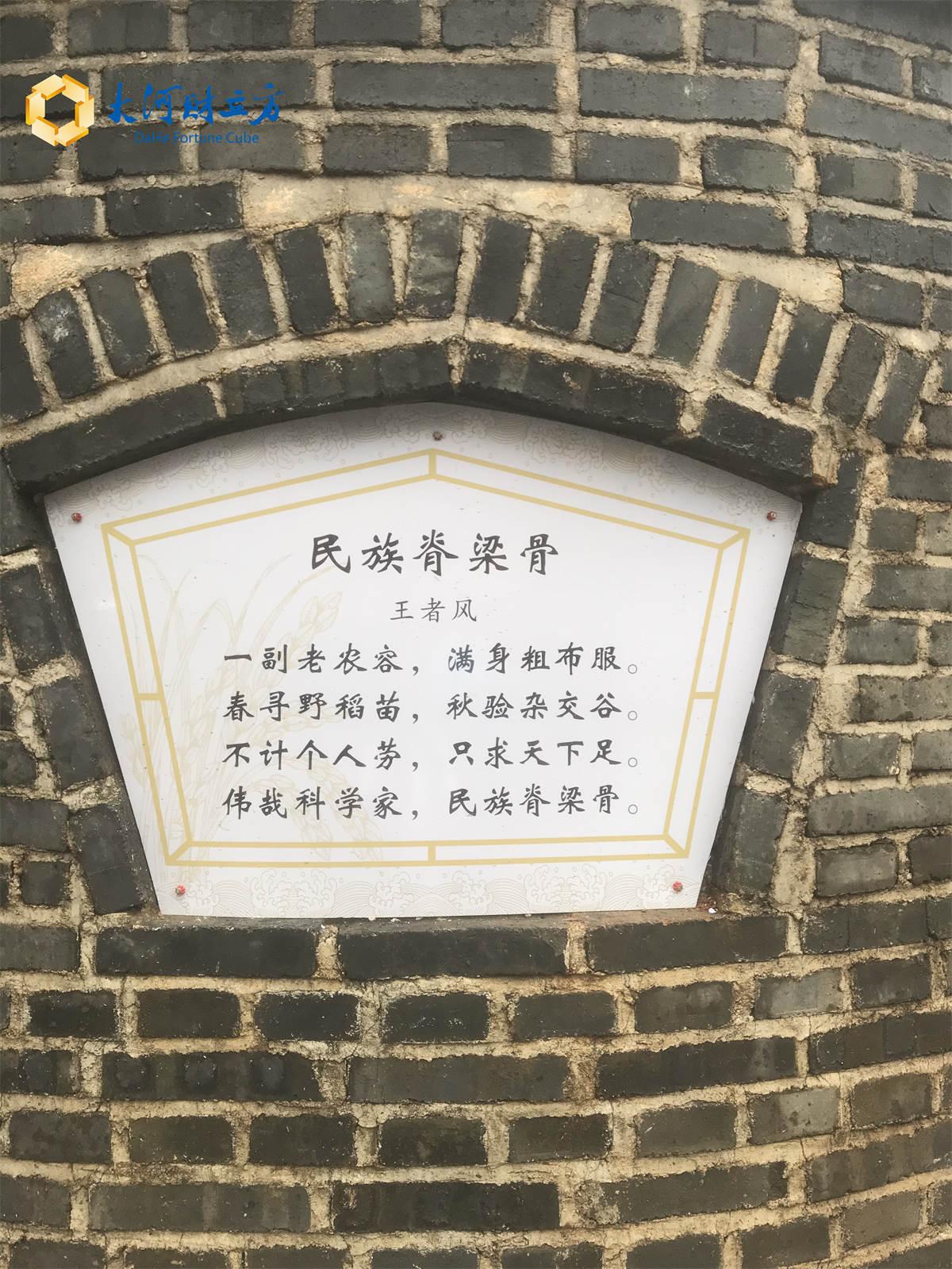 最新卡墙电，小巷深处的独特风味探索