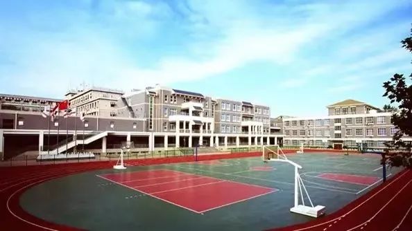 掌盟最新版，学习变化，自信塑造未来