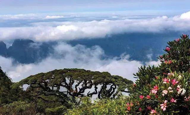 张莹颖的最新自然之旅，探索美景，感受内心的平和喜悦