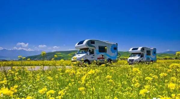 亳州天麻最新价格，自然之旅探寻内心宁静与平和的旅程