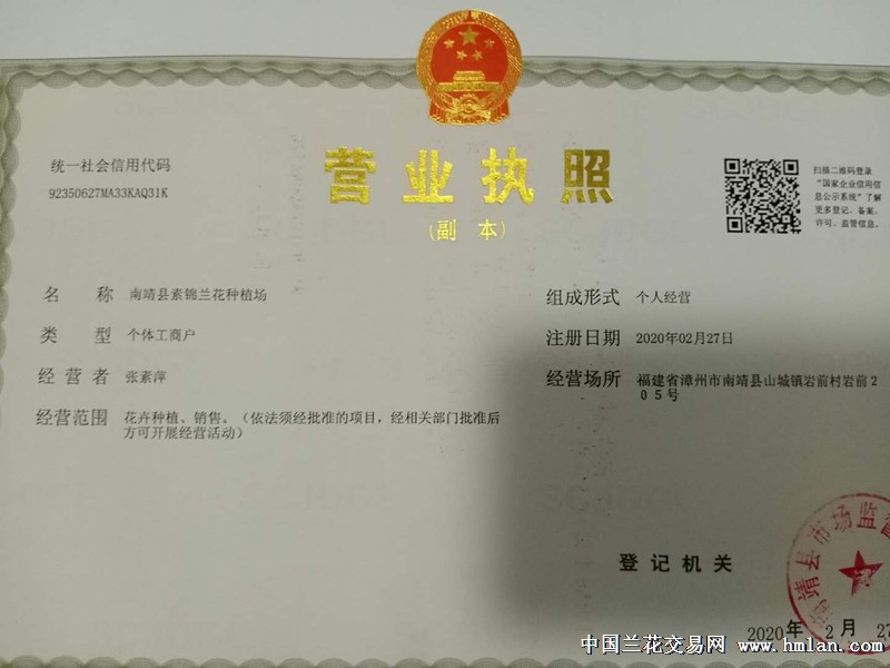 最新执照，开启成长之旅，铸就自信与成就感的源泉