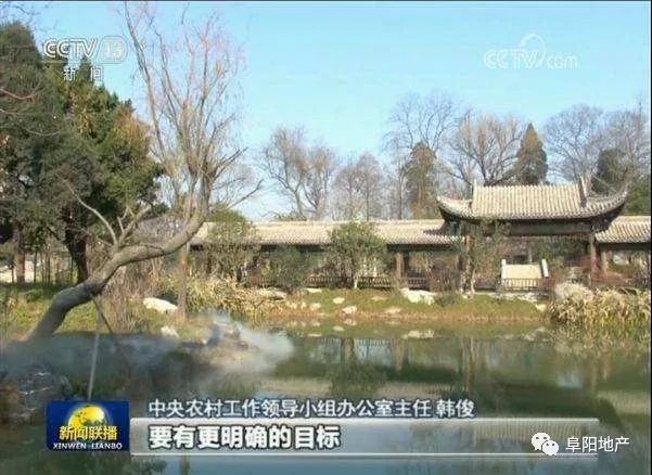 颍上县阳光下的难忘时光，小杨与他的朋友们的故事