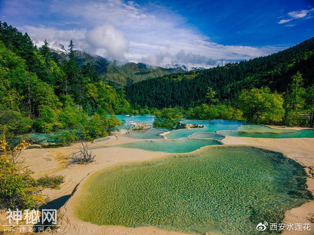 揭秘时代背景下的传奇黄龙脉络