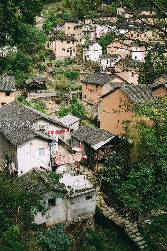 杨柘最新发现，小巷深处的独特风味揭秘